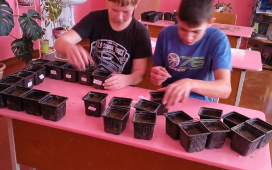 Мероприятие "Цветоводство"