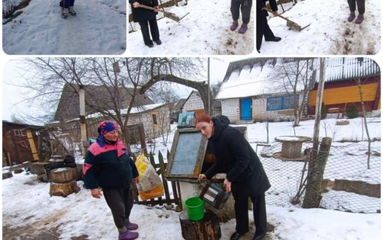 Учащиеся  10 класса оказали посильную помощь одиноко проживающей жительнице агрогородка.