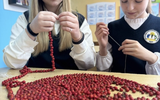 Акция «Пакормім птушак»