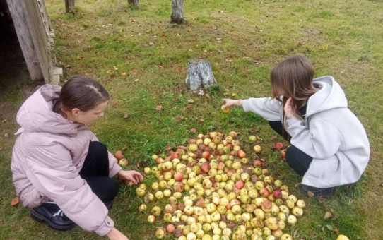 Акция "Мы рядом"