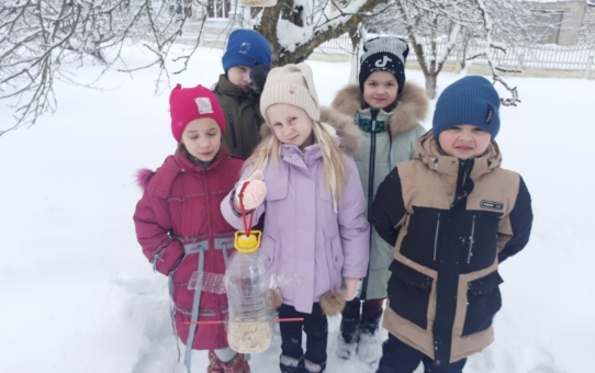 Акция "Покормите птиц зимой"