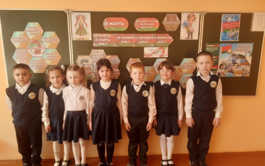 Адзіны урок, прысвечаны Дню Канстытуцыі Рэспублікі