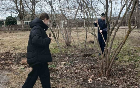 Помощь в уборке листвы